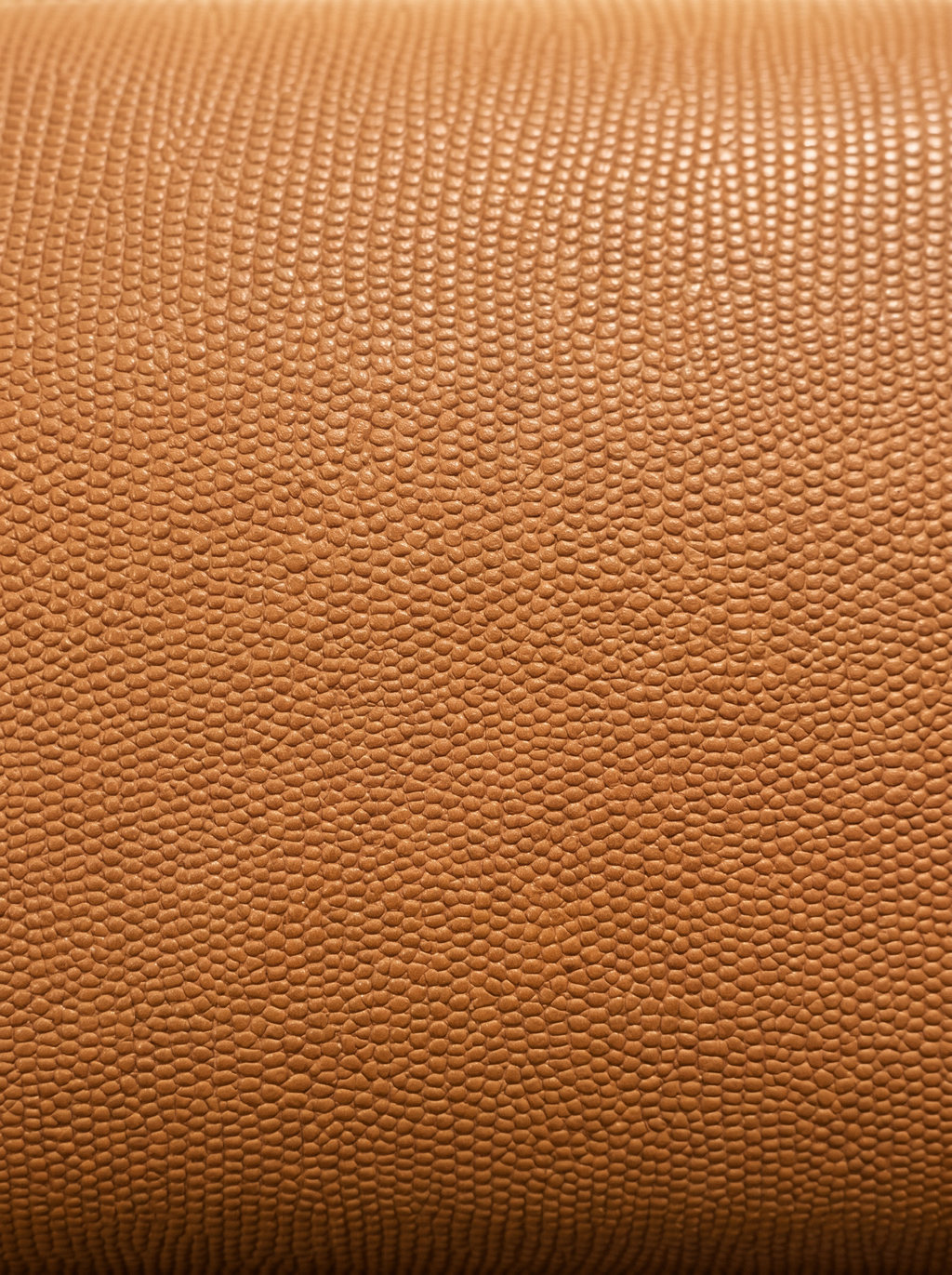 Brioche