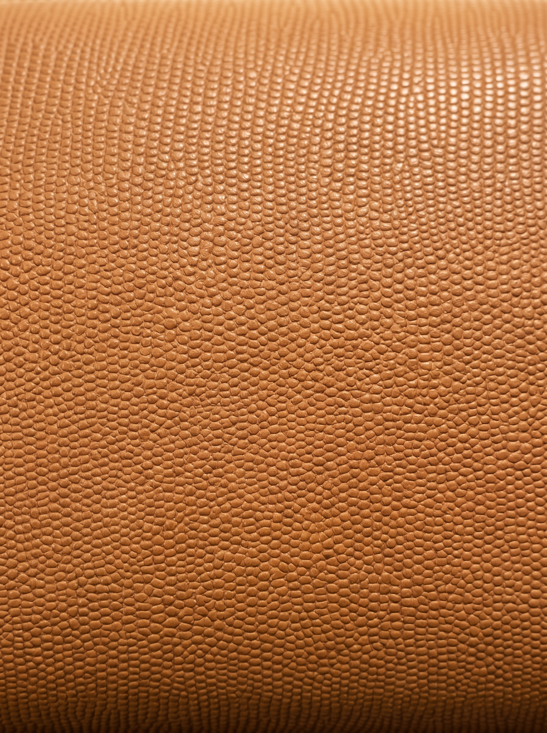 Brioche